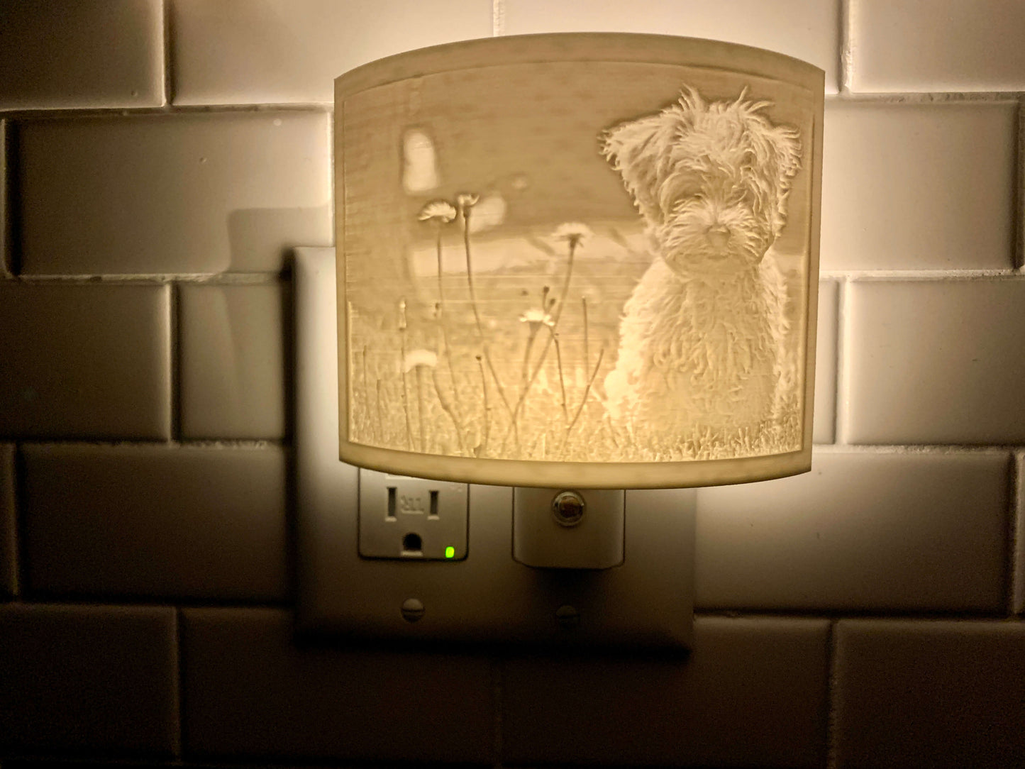 Night Light